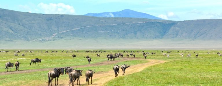 ngorongoro-crater