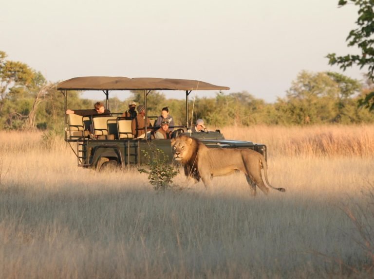 10-day-okavango-moremi-chobe-np-victoria-falls_SoW78