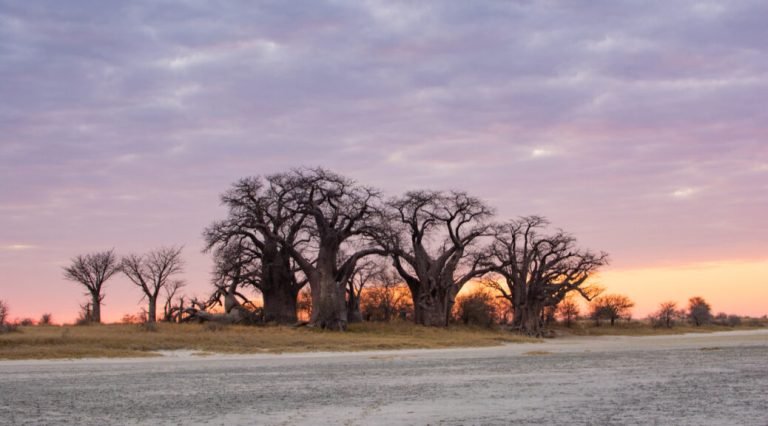 Nxai-Pan-Setting-Melanie-van-Zyl-2-1038x576