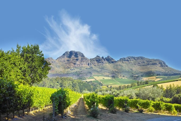 Winelands
