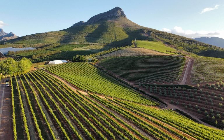 cape-winelands-1