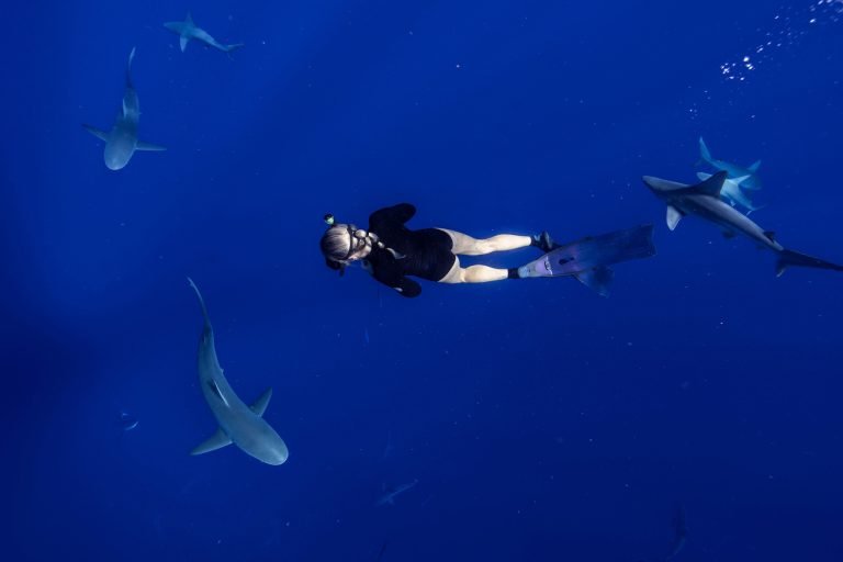 dive