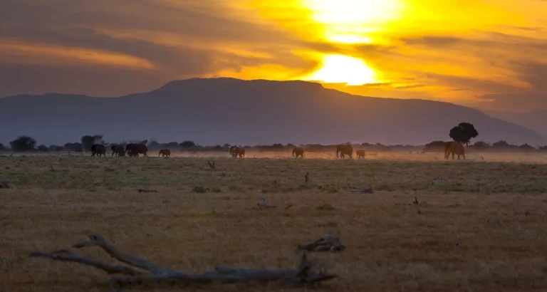tsavo