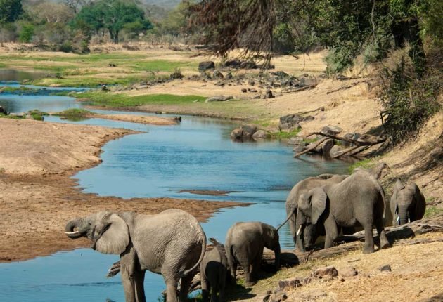 chobe-G19-1-1