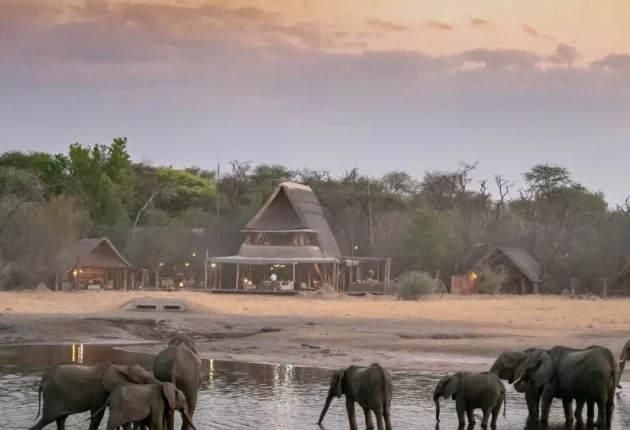 region-hwange-national-park-1000x563